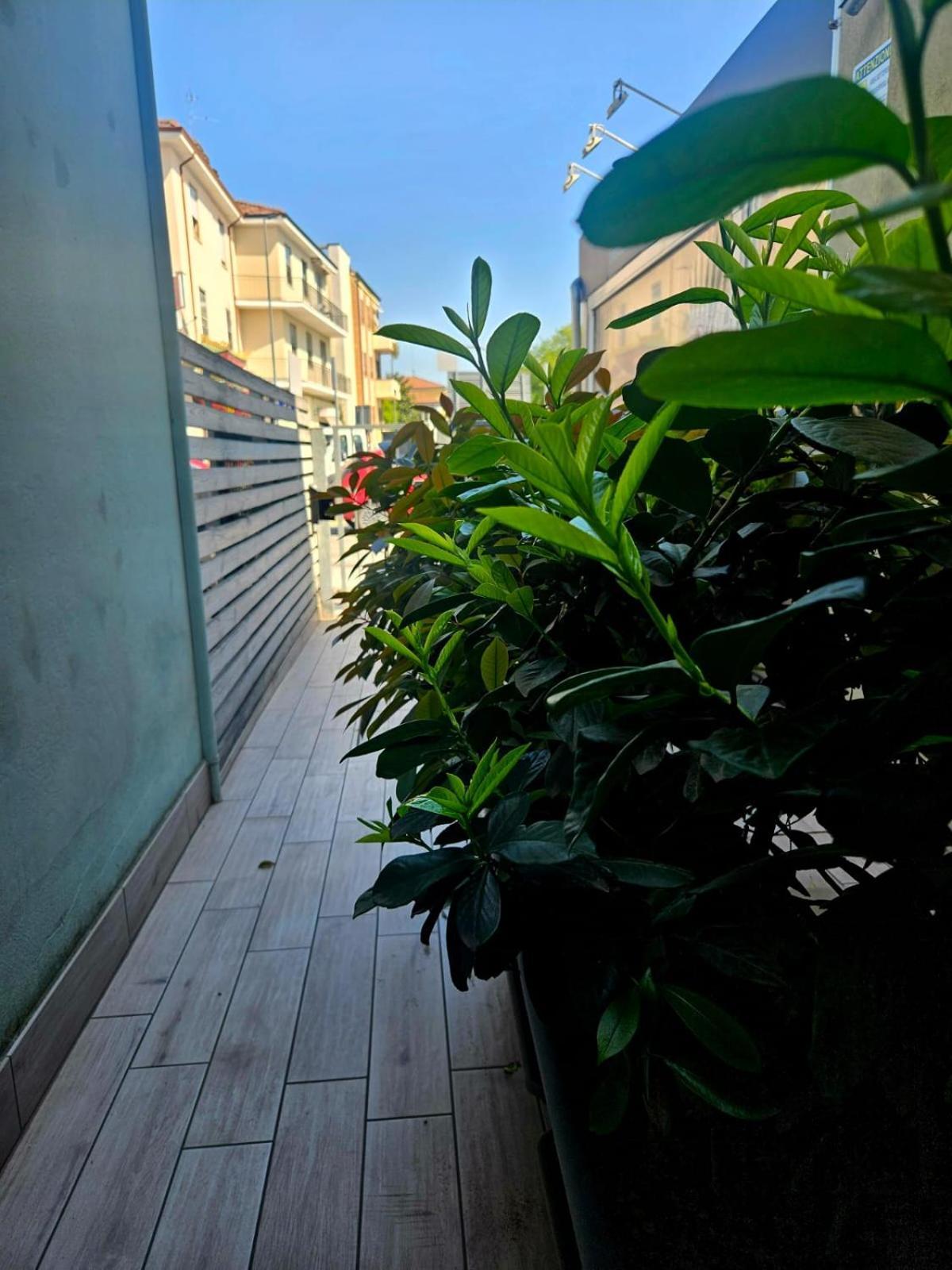 رافيننا Luna City المظهر الخارجي الصورة